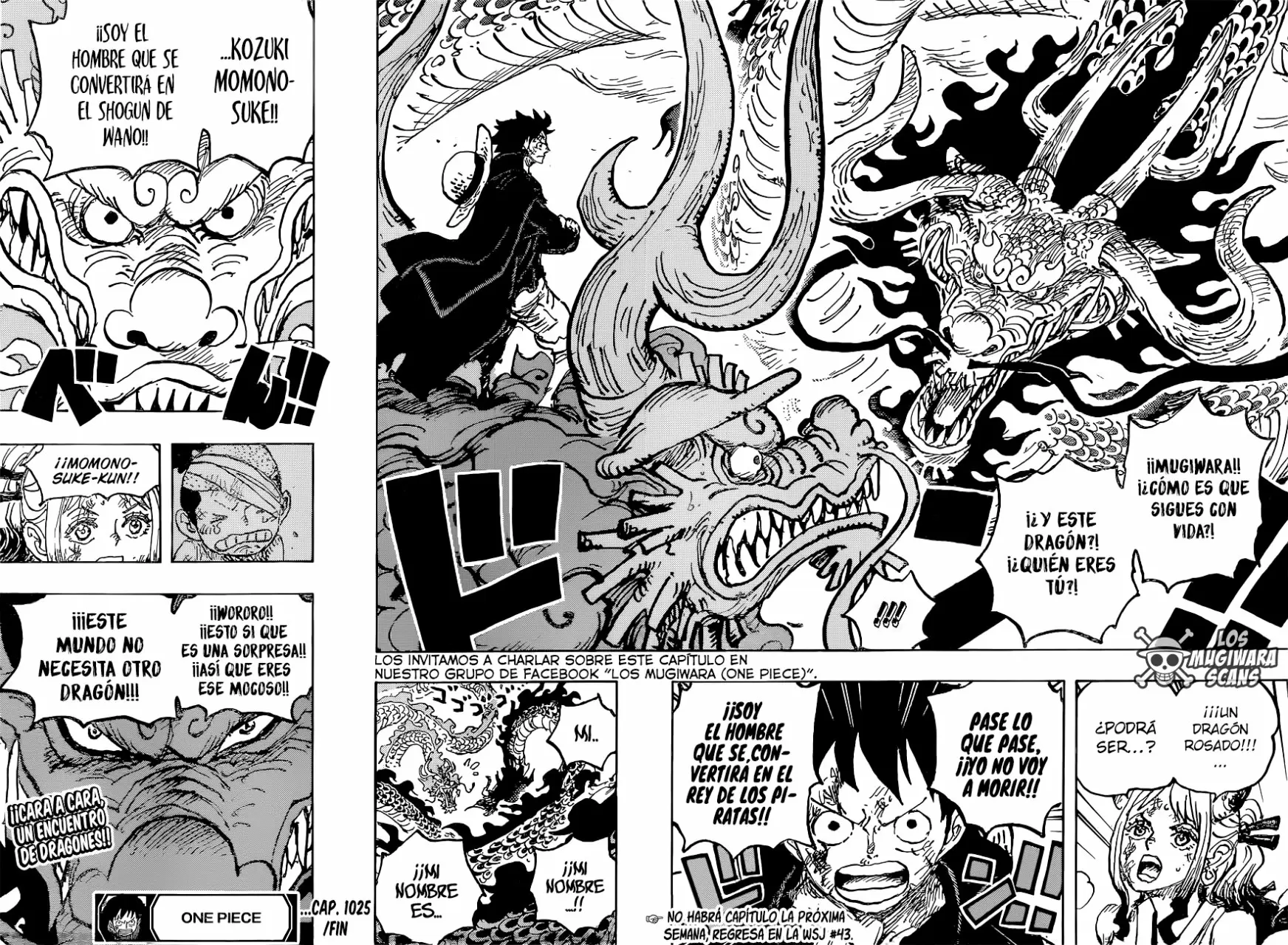 manga read one piece manga online